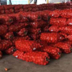 How to choose the right mesh bags for onions