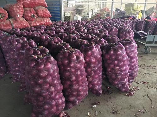 What do I need to know about using mesh bags for onions?