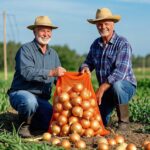 Which vegetables can be stored in mesh bags?
